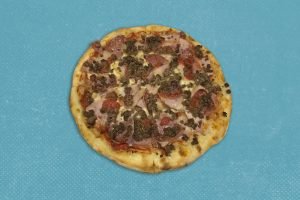Carnivora2